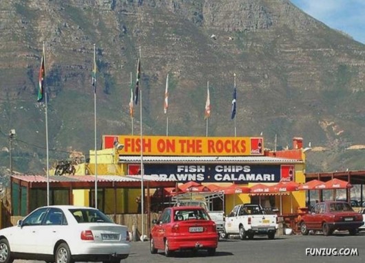 A Trip to South Africa