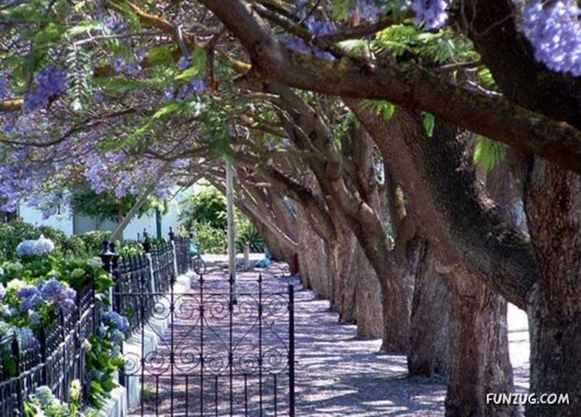 A Trip to South Africa