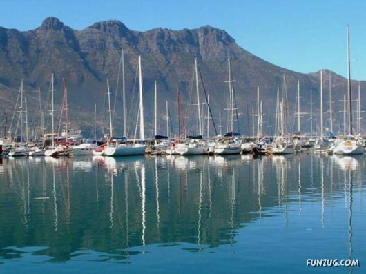 A Trip to South Africa