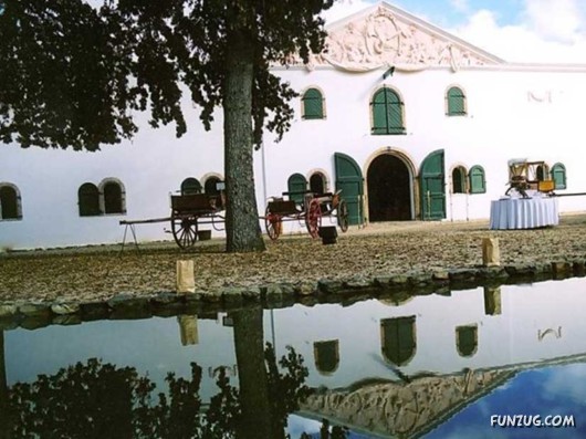 A Trip to South Africa