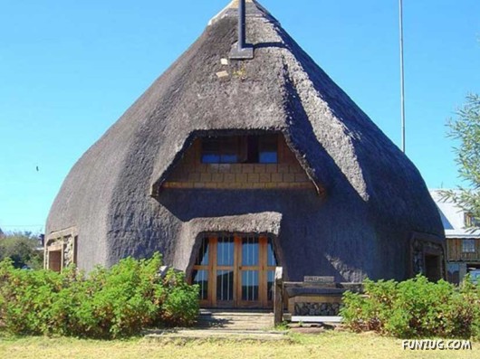 A Trip to South Africa