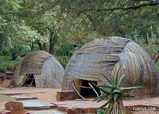 A Trip to South Africa