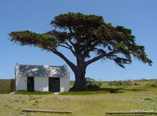 A Trip to South Africa