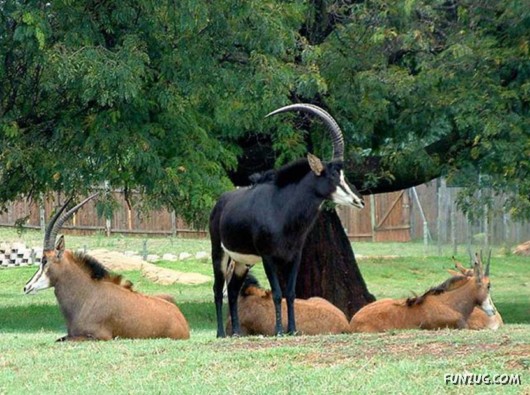 A Trip to South Africa