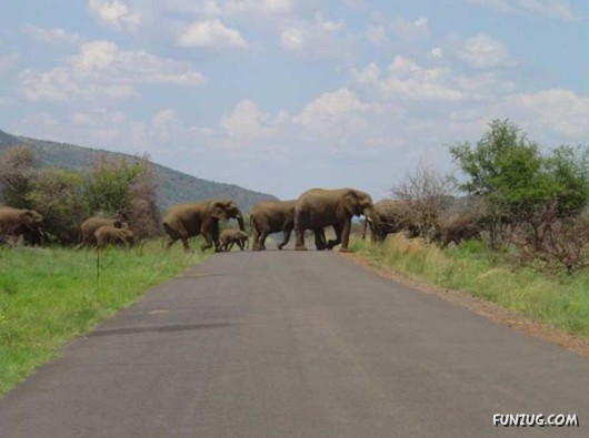 A Trip to South Africa