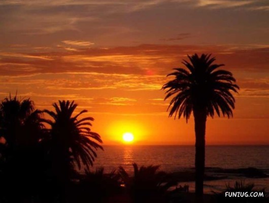 A Trip to South Africa