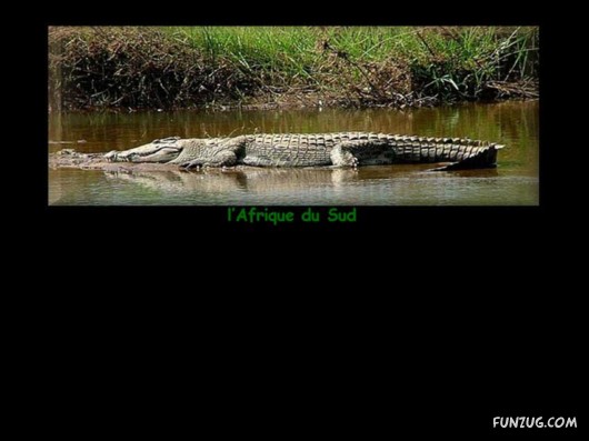 A Trip to South Africa