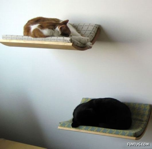 Unorthodox Crazy Beds Collection