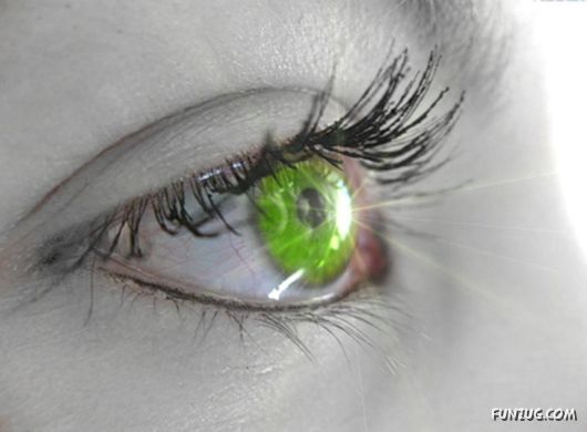 Click to Enlarge - Creative & Artistic Wallpapers