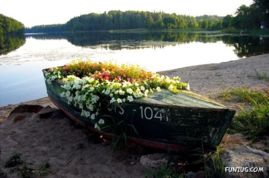 Click to Enlarge - Exciting Beauty of Sunsets