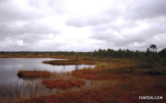 Click to Enlarge - Exciting Beauty of Sunsets