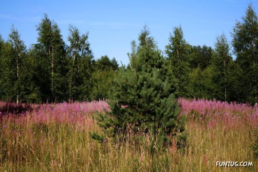 Click to Enlarge - Exciting Beauty of Sunsets