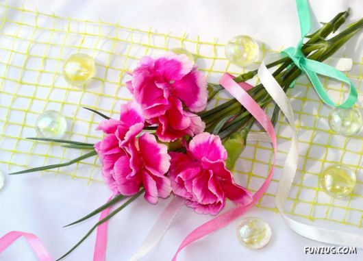 Click to Enlarge -Beautiful Colorful Flowers Wallpapers