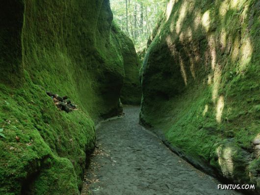 Click to Enlarge - Beautiful Roads Wallpapers