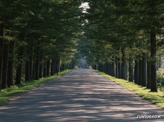 Click to Enlarge - Beautiful Roads Wallpapers