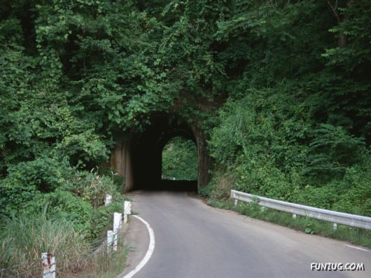 Click to Enlarge - Beautiful Roads Wallpapers