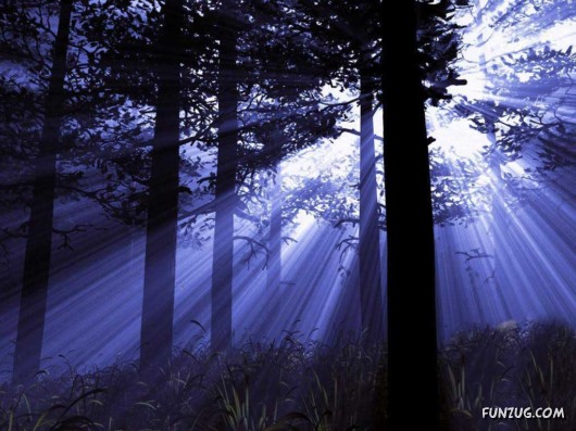 Click to Enlarge - Fantasy Nature Sceneries