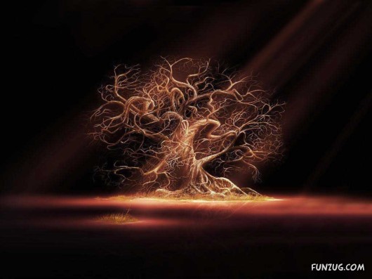 Click to Enlarge - Fantasy Nature Sceneries