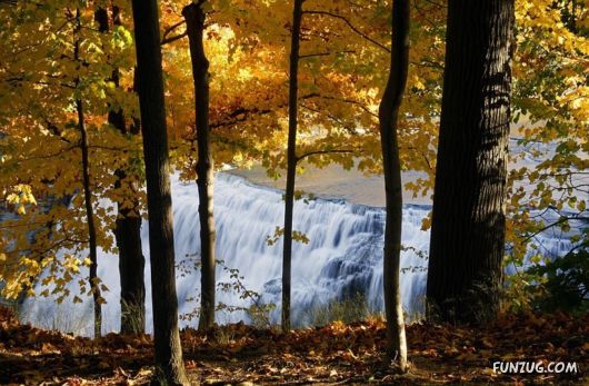 Click to Enlarge - So Lovely Nature Photoshots