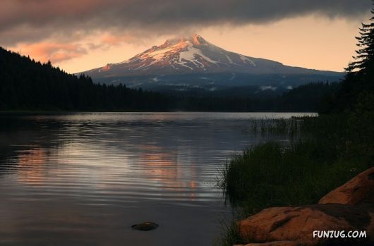 Click to Enlarge - So Lovely Nature Photoshots