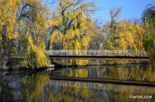 Click to Enlarge - So Lovely Nature Photoshots