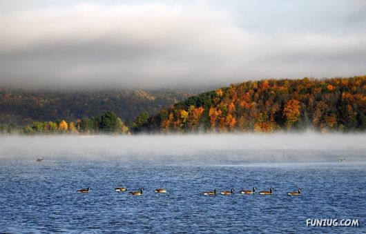 Click to Enlarge - So Lovely Nature Photoshots