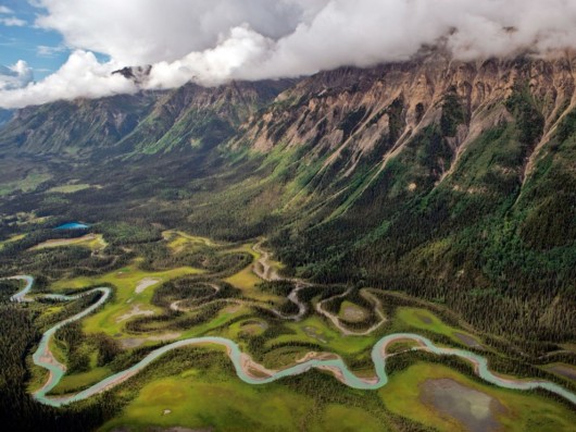 Click to Enlarge - National Geo's Best Wallpapers of the Year