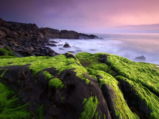 Click to Enlarge - National Geo's Best Wallpapers of the Year