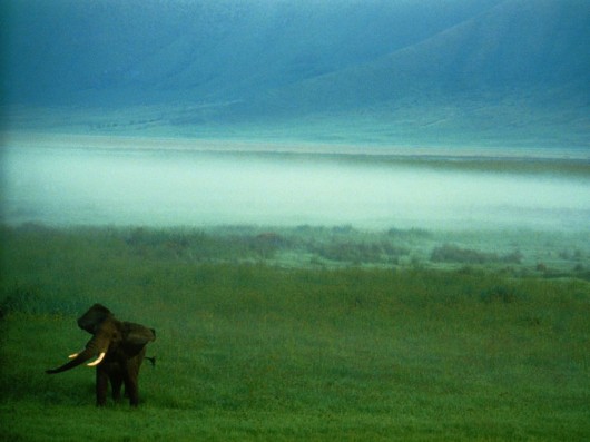 Click to Enlarge - National Geo's Best Wallpapers of the Year