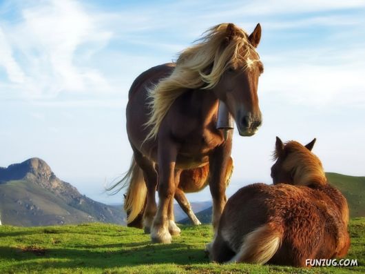 Click to Enlarge - Most Amazing Photoshopped Wallpapers