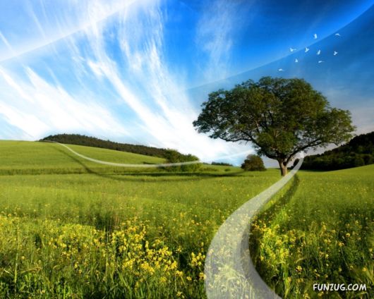 Click to Enlarge - Most Amazing Photoshopped Wallpapers