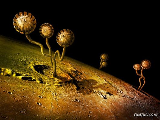 Click to Enlarge - Most Amazing Photoshopped Wallpapers