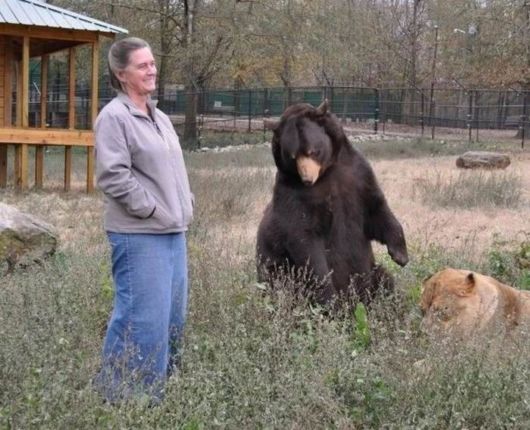 An Amazing Extra-Ordinary Friendship