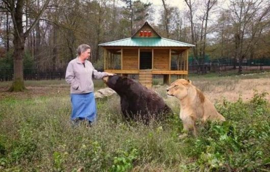 An Amazing Extra-Ordinary Friendship