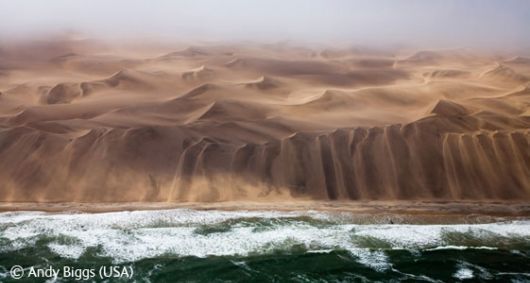 Wild and Wonderful Fantastic Pictures