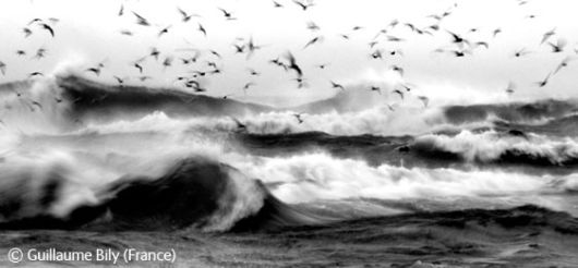 Wild and Wonderful Fantastic Pictures