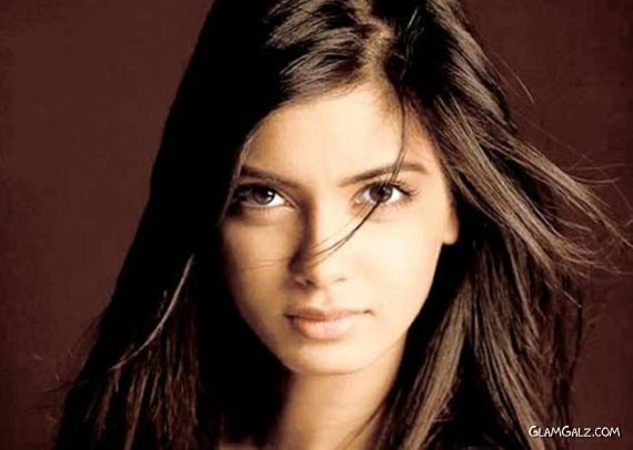 Beautiful Diana Penty Picture Gallery