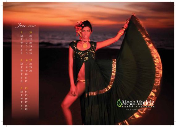 Click to Enlarge - Indian Earth Hour 2010 Galz Calendar