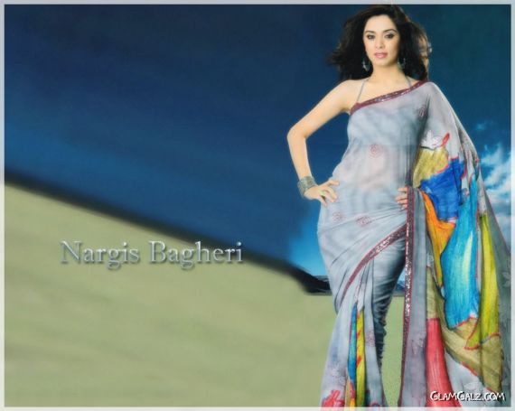 Click to Enlarge - Gorgeous Nargis Bagheri Wallpapers