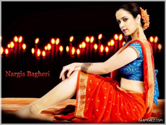 Click to Enlarge - Gorgeous Nargis Bagheri Wallpapers