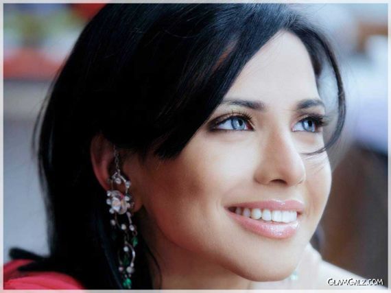 Click to Enlarge - Gorgeous Nikita Anand Wallpapers