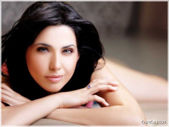 Click to Enlarge - Gorgeous Nikita Anand Wallpapers