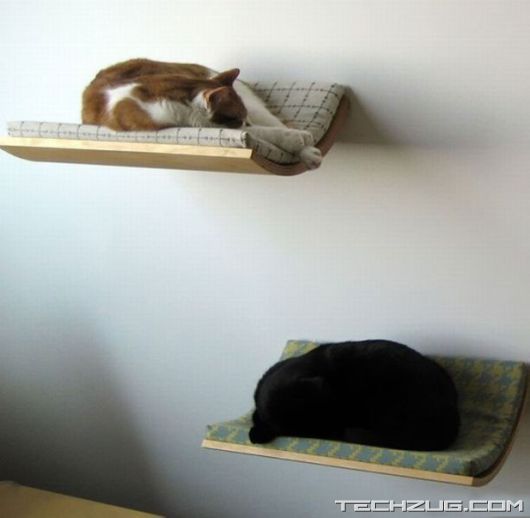 Unorthodox Crazy Beds Collection